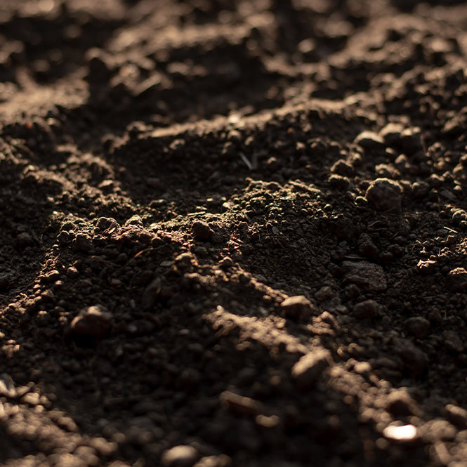 Premium Beds and Borders Topsoil - 850KG Bulk Bag